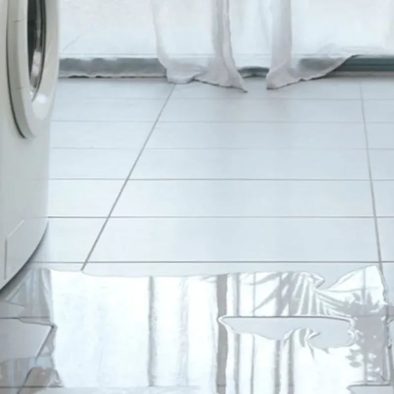 Appliance Leak Cleanup in Vance, AL