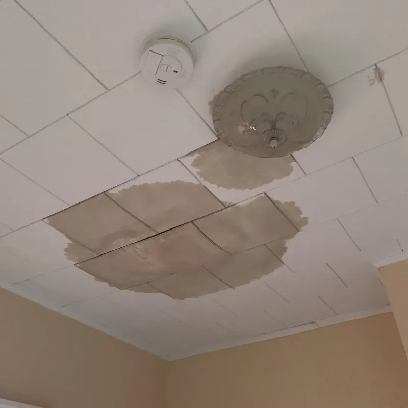Ceiling Water Damage Repair in Vance, AL