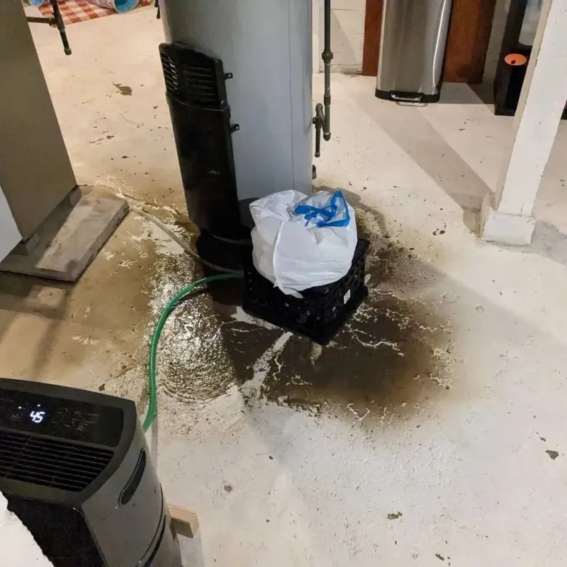 Sewage Backup Cleanup Service in Vance, AL